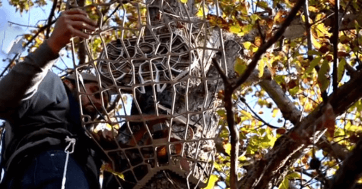 Featured Image for High-Percentage Treestand Placement for Each Phase of Deer Season